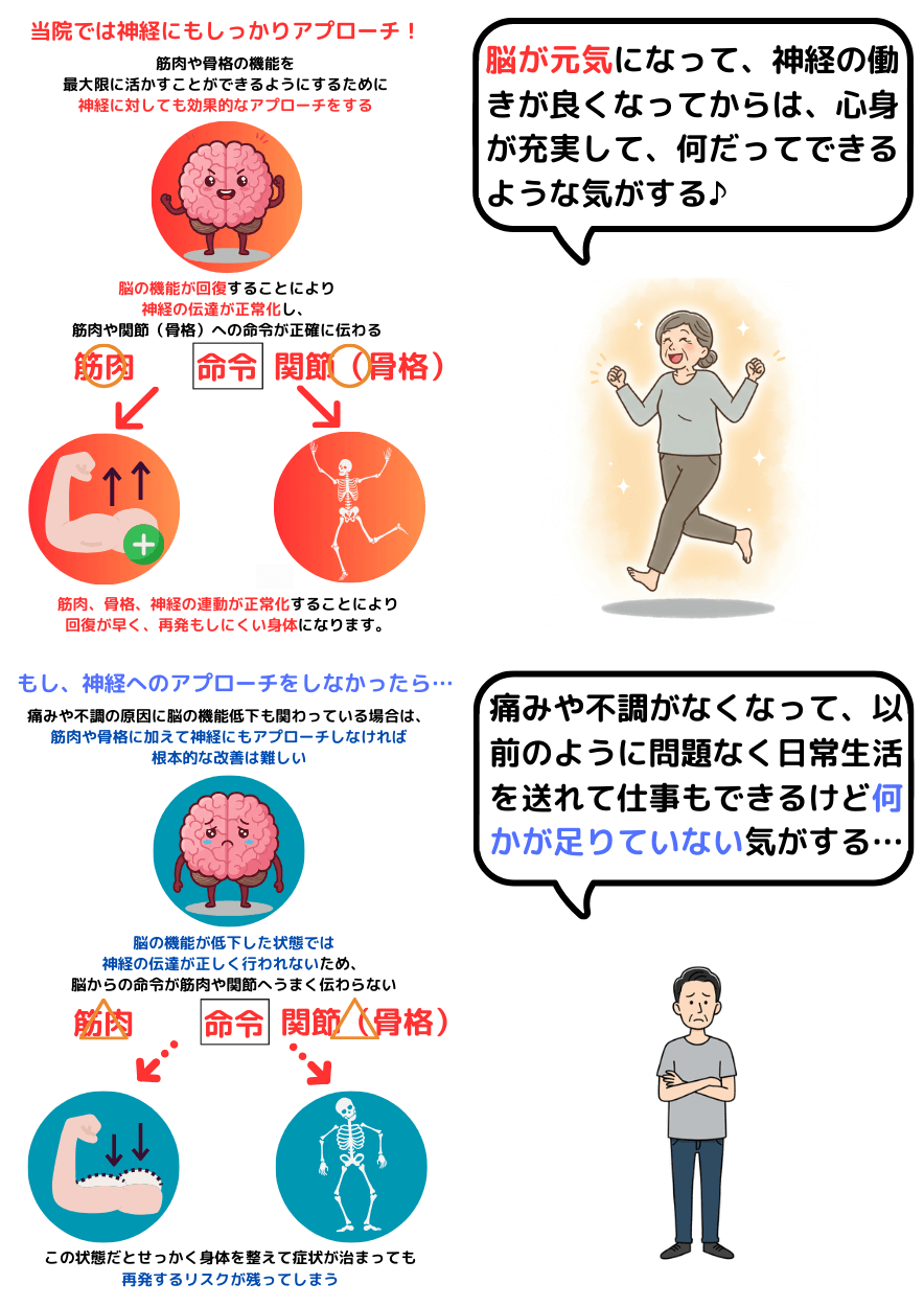 脳の機能が回復すれば神経、骨格、筋肉のポテンシャルが最大限発揮される